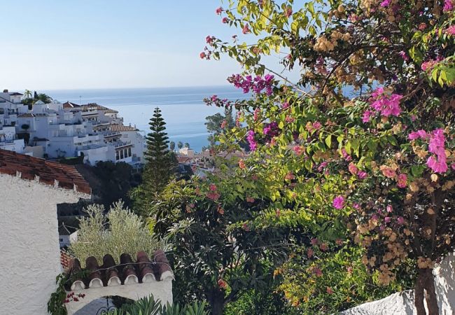 Apartamento en Nerja - AP339 Alhama-La Oliva