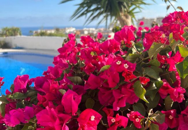 Villa en Nerja - AP393 LOS ALMENDROS Villa en Nerja - AP393 LOS ALMENDROS