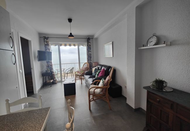 Apartamento en Nerja - AP21 - SIRENA - TORRECILLA  Apartamento en Nerja - AP21 - SIRENA - TORRECILLA