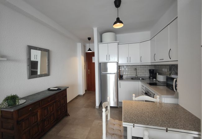 Apartamento en Nerja - AP21 - SIRENA - TORRECILLA  Apartamento en Nerja - AP21 - SIRENA - TORRECILLA
