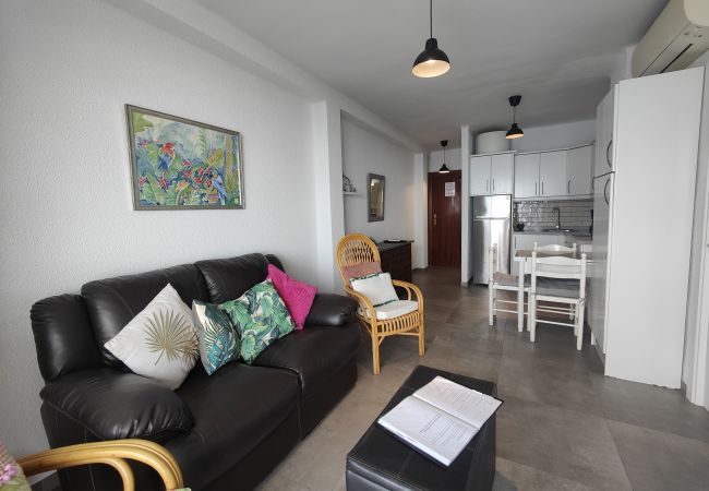 Apartamento en Nerja - AP21 - SIRENA - TORRECILLA  Apartamento en Nerja - AP21 - SIRENA - TORRECILLA