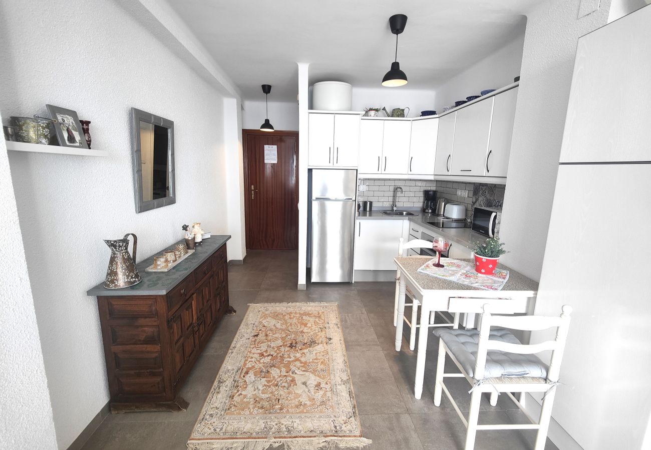 Apartamento en Nerja - AP421 - SIRENA - TORRECILLA 