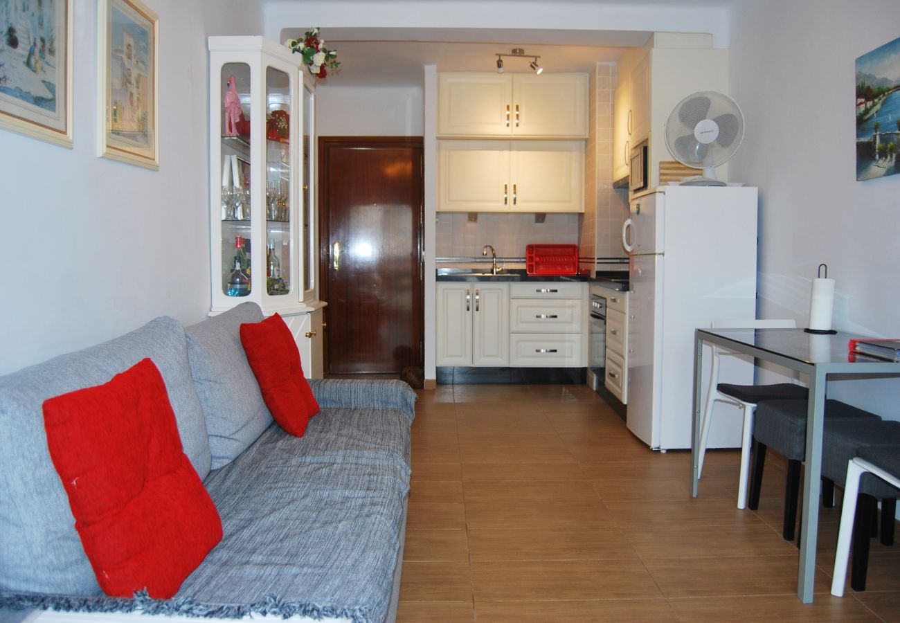 Apartment in Nerja - AP001 Gaviota 4-2