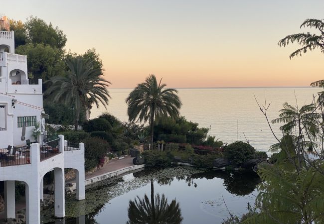 Apartment in Nerja - AP231 - Capistrano Playa  Apartment in Nerja - AP231 - Capistrano Playa