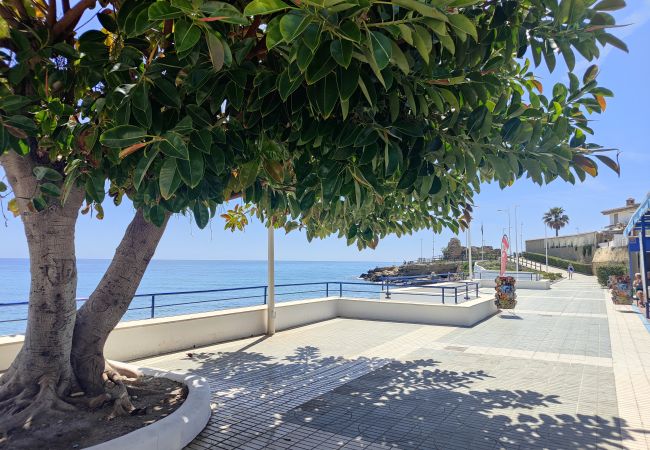 Apartment in Nerja - AP416 BLUE MEDINA Apartment in Nerja - AP416 BLUE MEDINA